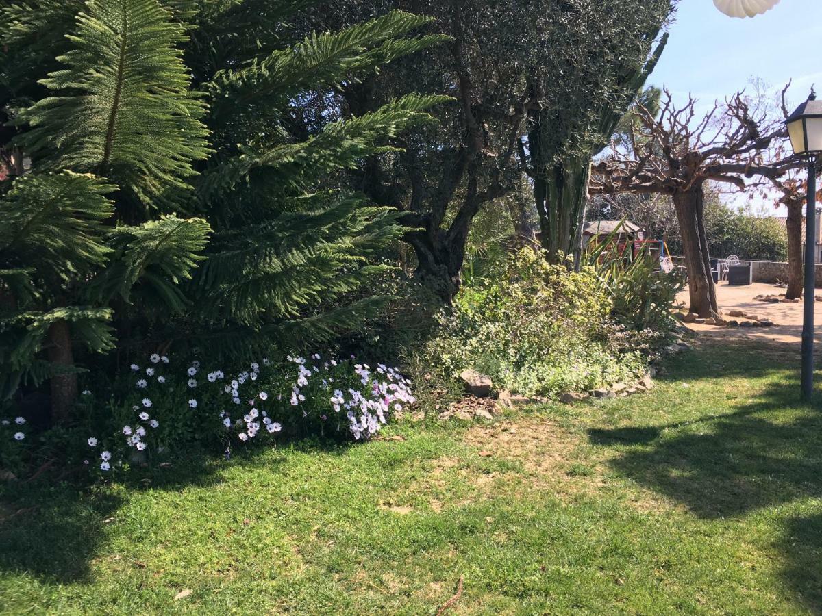 קבררה דה מאר Hotel Masia Can Vive מראה חיצוני תמונה