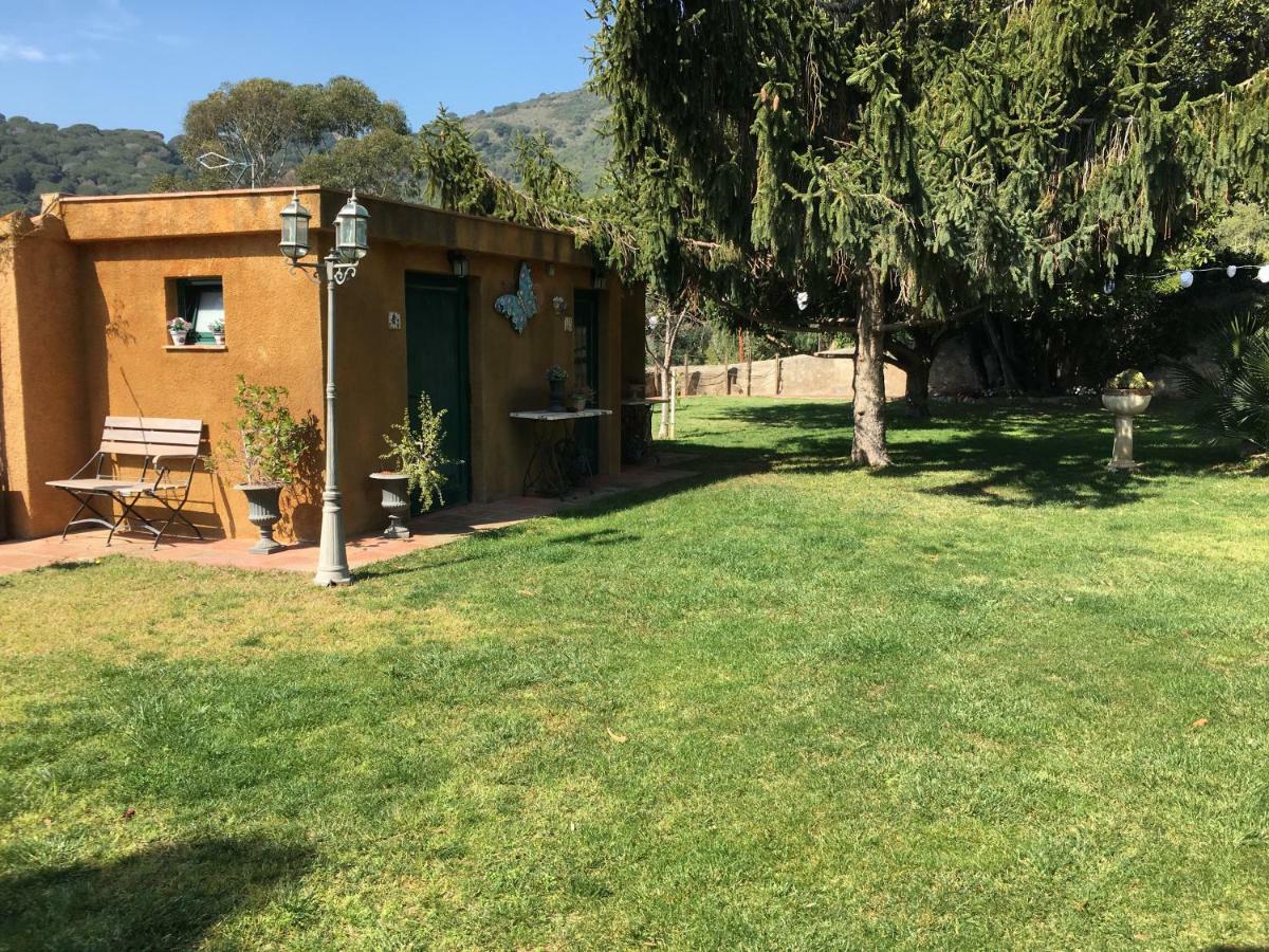 קבררה דה מאר Hotel Masia Can Vive מראה חיצוני תמונה